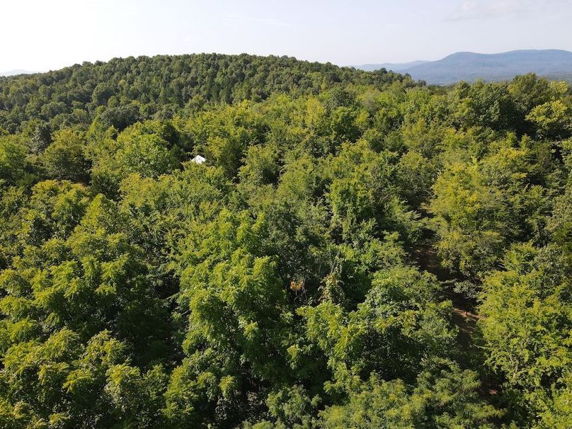 dji_fly_20240808_094850_284_1723128599842_photo