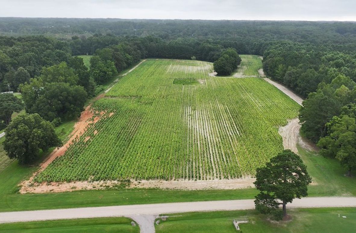 DJI_20250715001630_0147_D