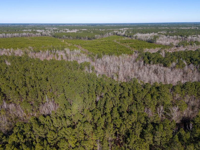 Pender NC 382 - Edits-39