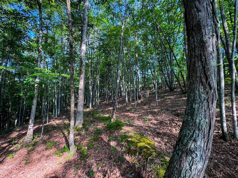 Lewis, WV 82.87 AC Barger-083