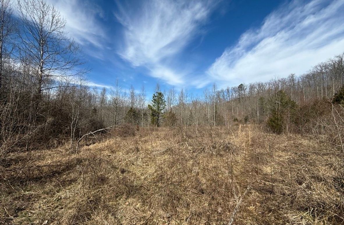 002 some of the old growth fields near the middle area of the property