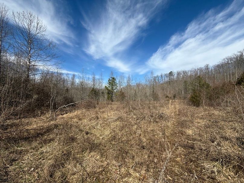 002 some of the old growth fields near the middle area of the property