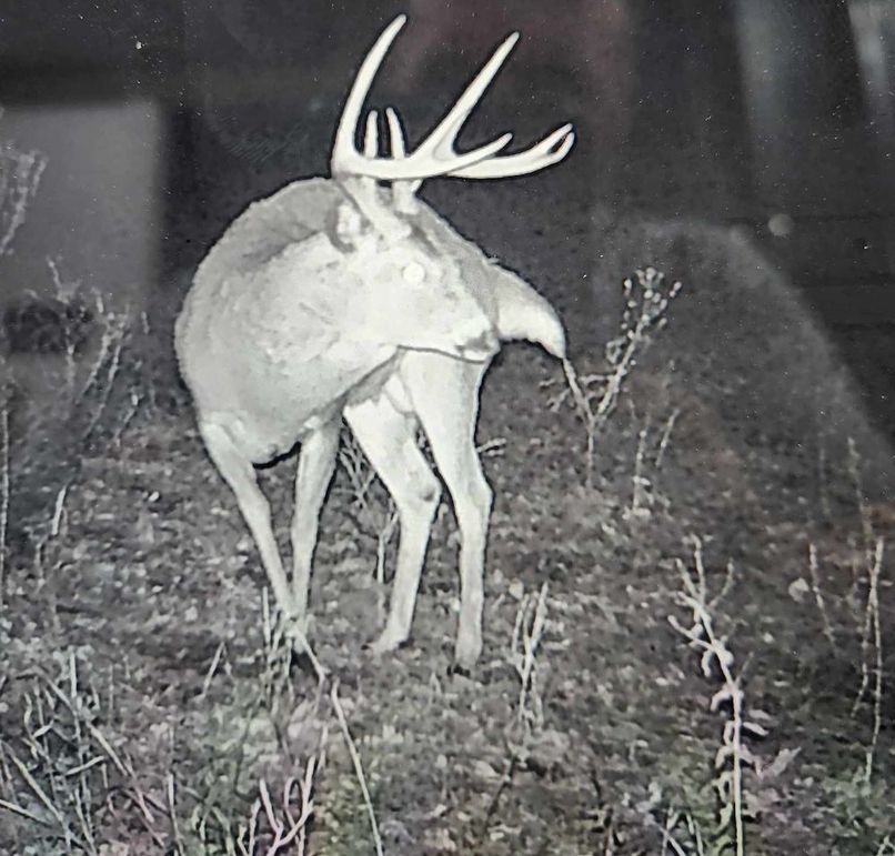 received_2737754543052382