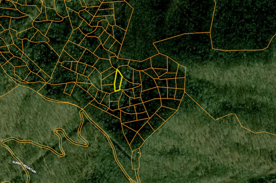 Screenshot 2025-03-19 at 10.47.59 AM