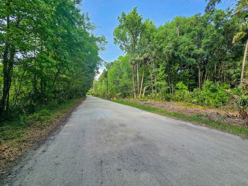 1.01ac, Citrus, Josiah Ronco06