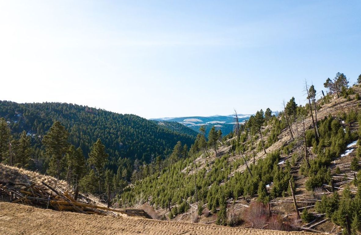 3. 20250410-DJI_0011