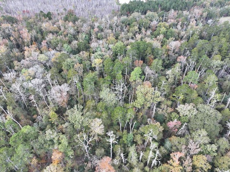 dji_fly_20251118_121510_0731_1763560718170_photo