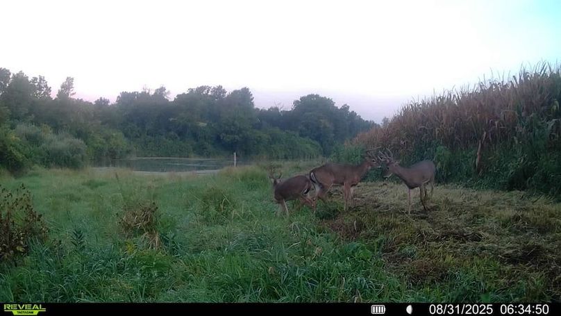 016579006920529-100-4-08312025063450-SYFW00140