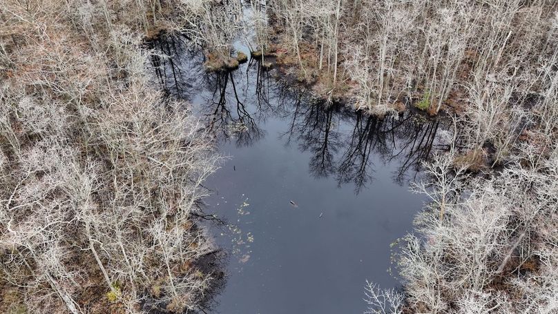 dji_fly_20251121_092540_0060_1763736175386_photo