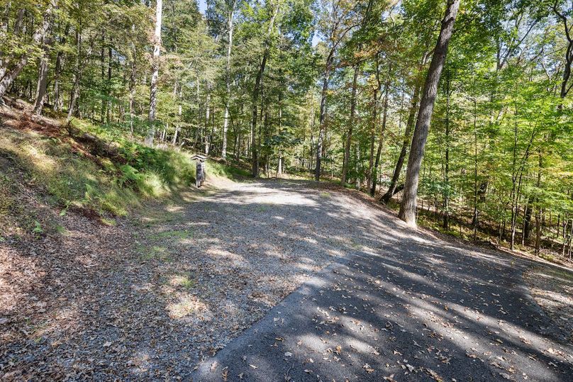 38-2E6A2729_546 Wild Turkey Ridge - Absolute Altitude -10 - 2024 - 31