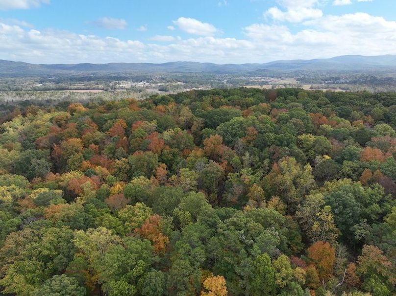 dji_fly_20241105_114450_804_1731521681494_photo