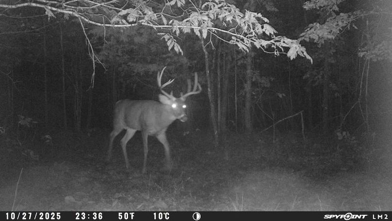 Spypoint_20251029_110654