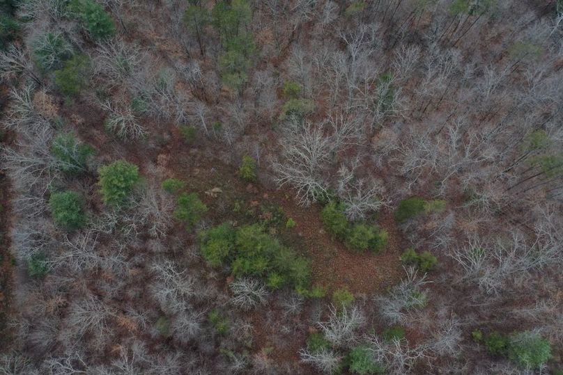 020 straight down aerial view of the old cemetery