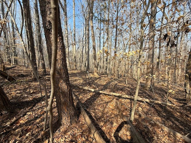 663FA0D1-D0ED-447C-A440-D332CD34EA63_1_102_o