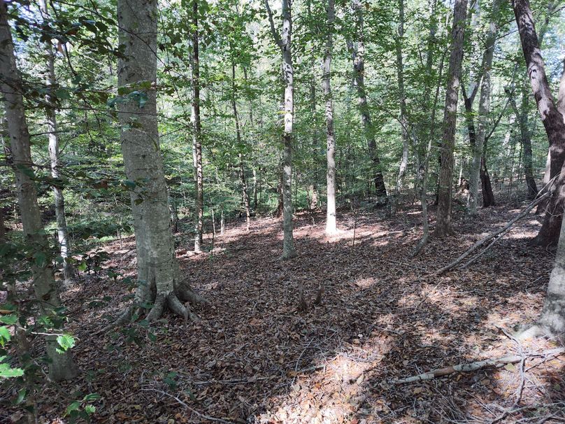 IMG_20231009_150418608