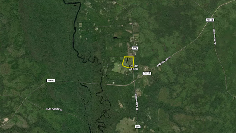 31.25 Wakulla Gomes Aerial # 2