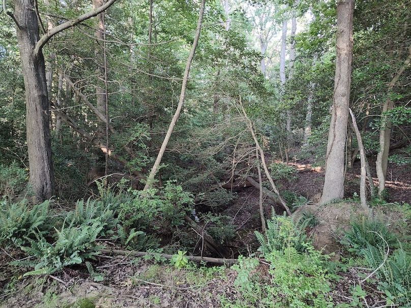 IMG_20250518_184102693