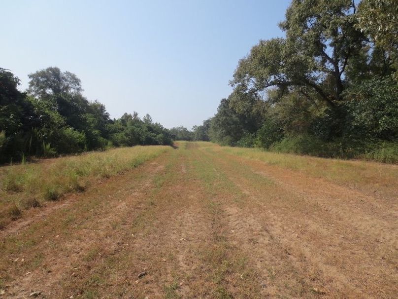 C42E106E-45F8-4D8C-8472-ECB0C7A92D01_1_105_c