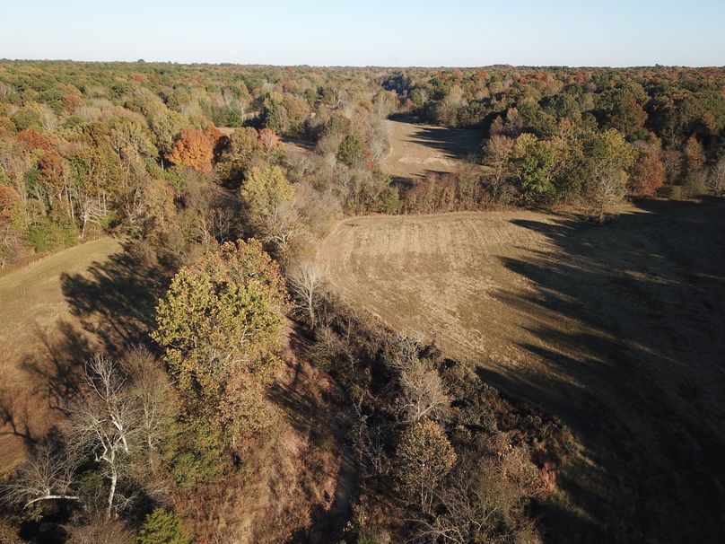 DJI_0080
