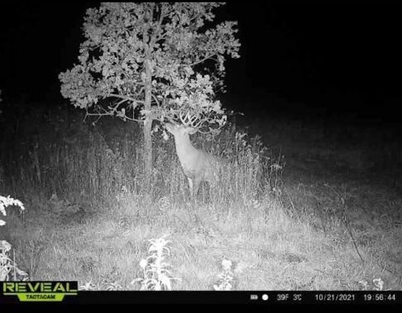 Resized_Screenshot_20240227-114620_Messages