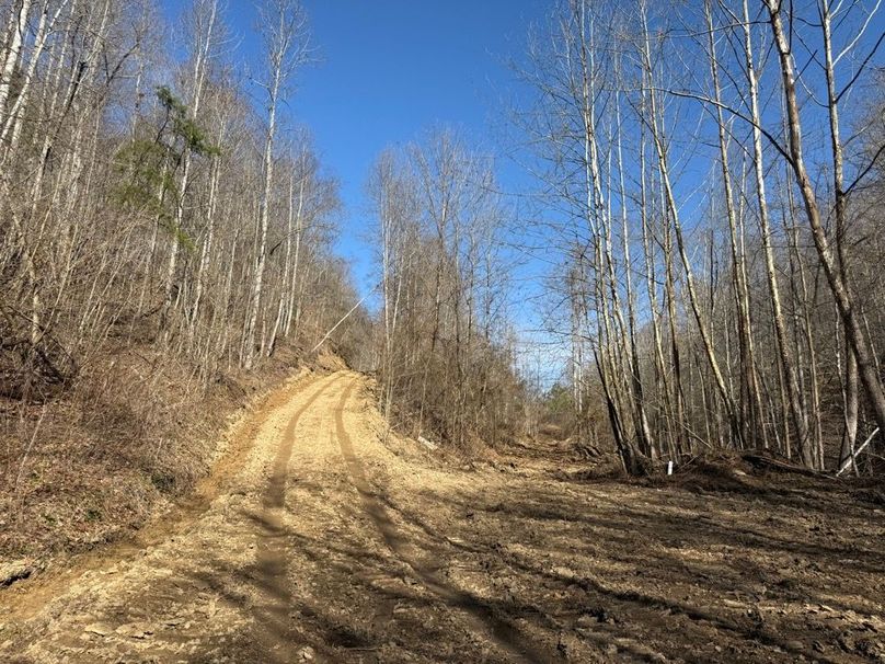 016 cleared area in the north valley near the main road, perfect for a cabin or RV site