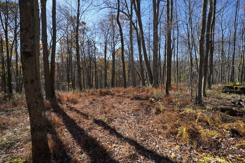 Somerset, 10.91, Tinkey-44