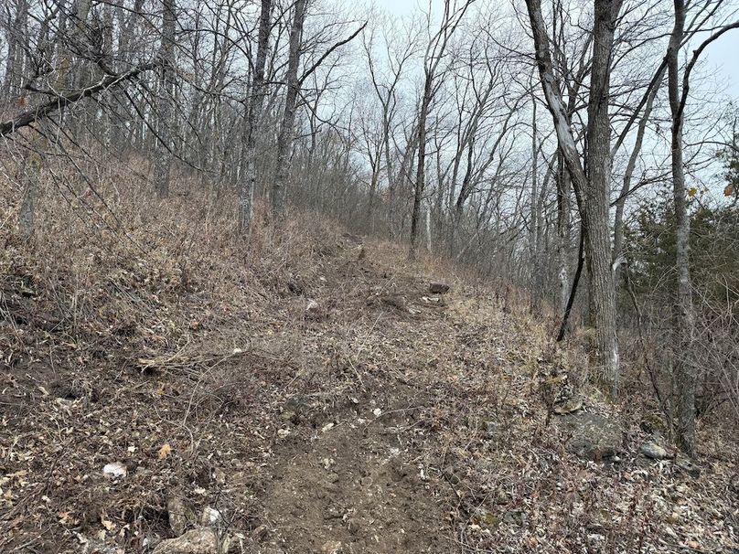 Houston 24.97 Updated-06