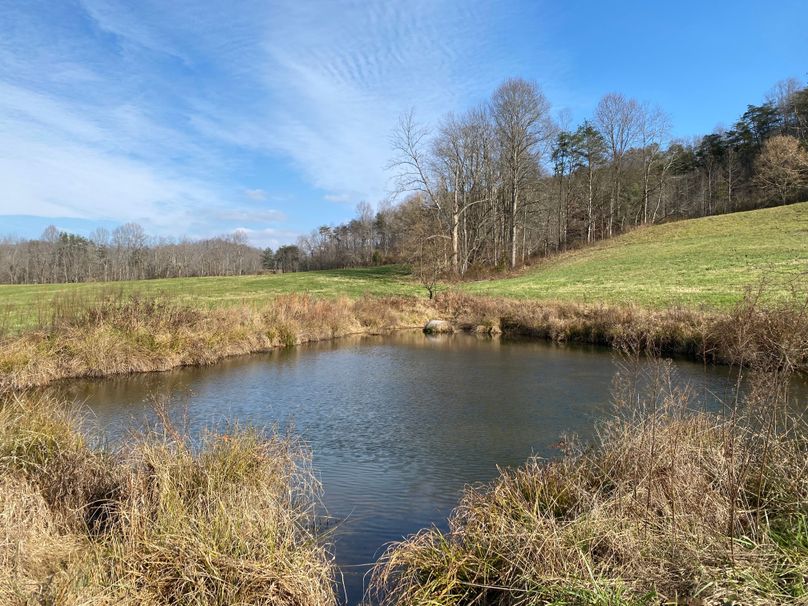 036 the spring fed pond in the east section of the property copy