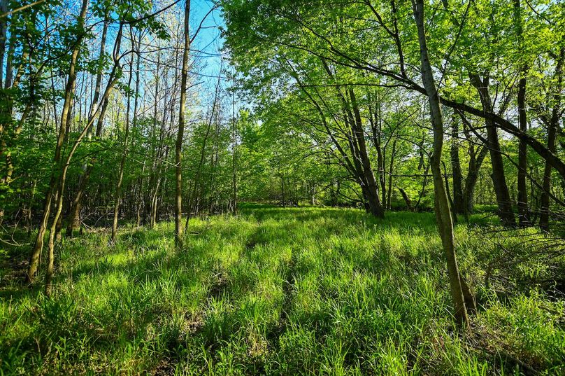 vandalia 450 (2)-3032