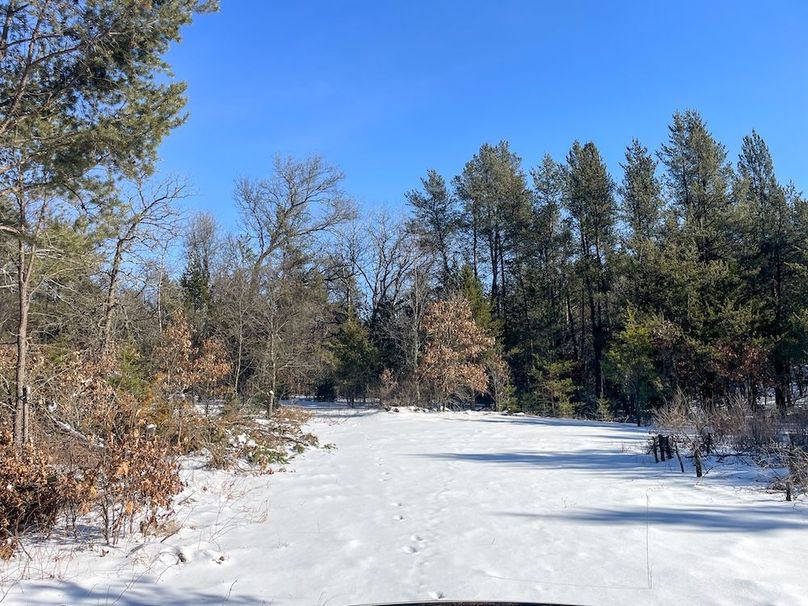 Adams 25, Nessler -29