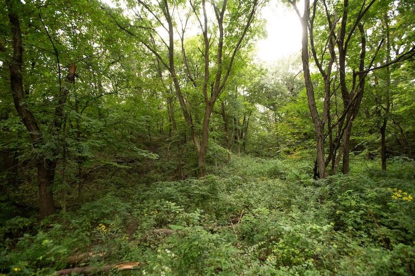 FREMONT CO IA 159.05_66