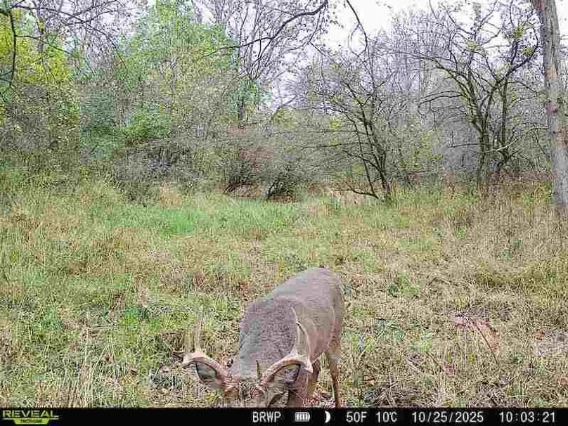 860322065236702-100-4-10252025100320-W1000315