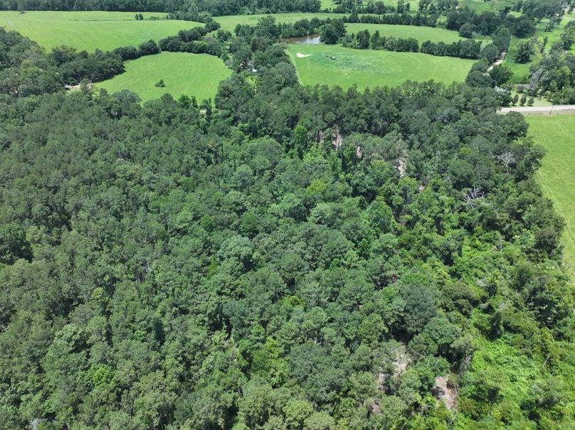 dji_fly_20250708_130002_0260_1752089862161_photo