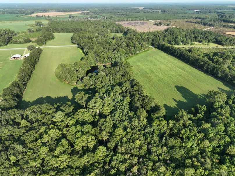 dji_fly_20230813_083458_520_1691930615969_photo