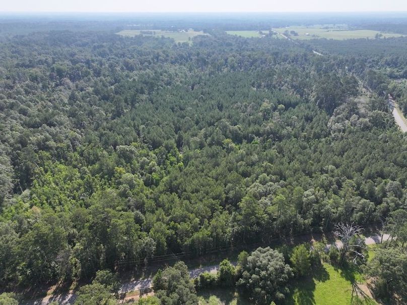 dji_fly_20250818_095212_0364_1755614658402_photo