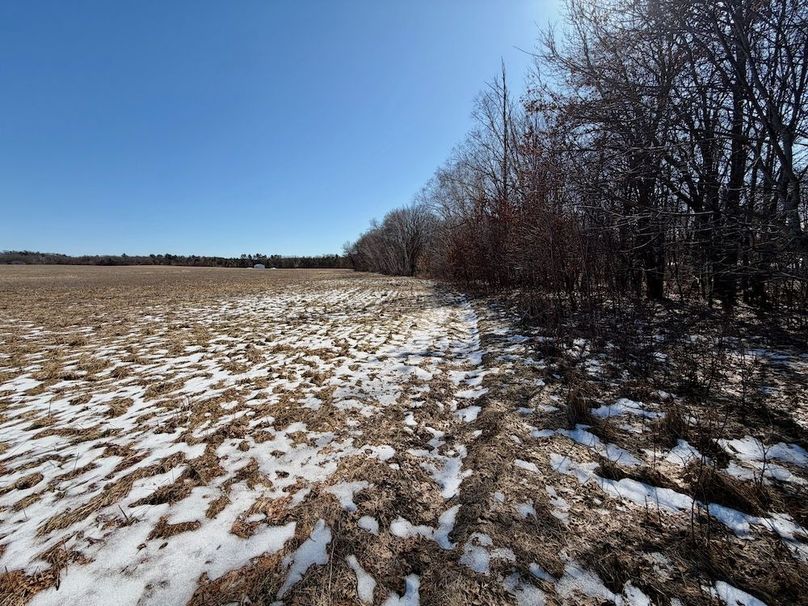 Jackson 27 Pics - 14