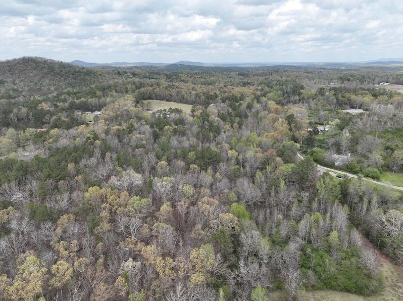 DJI_0008