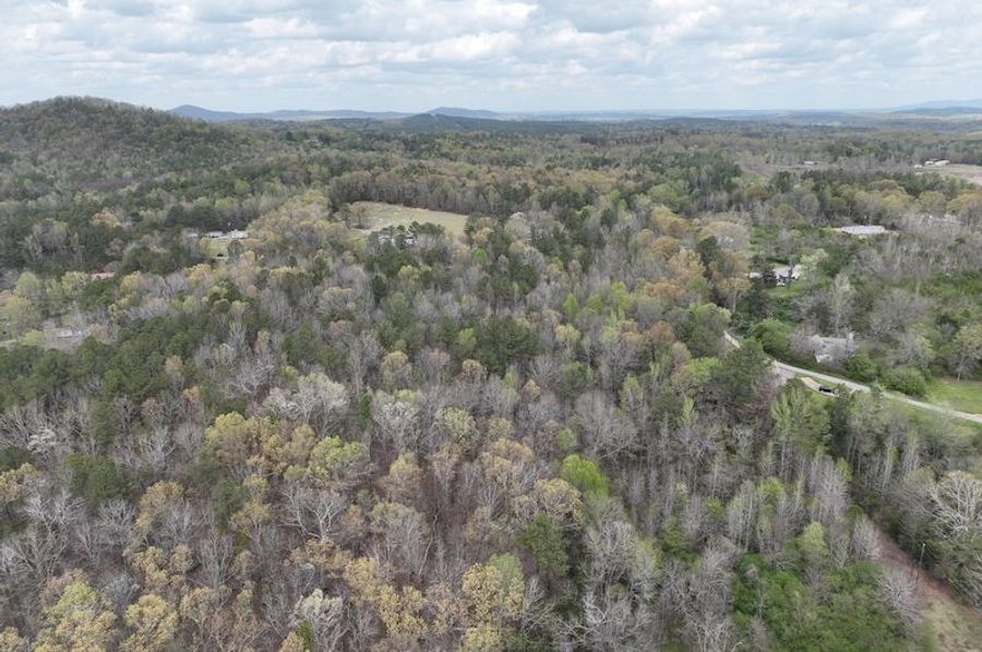 DJI_0008