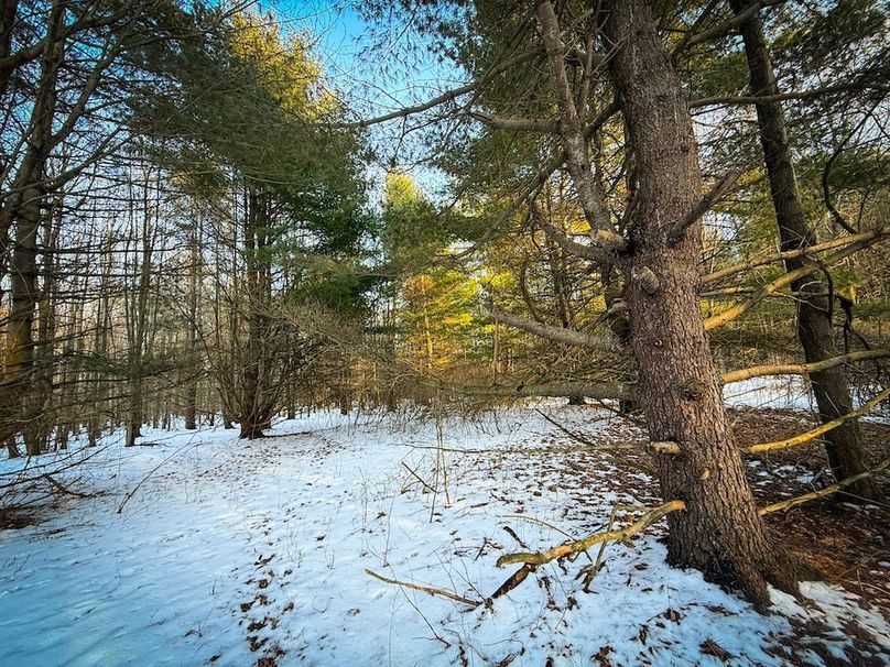 Seneca_43_Hohwald_Photos_25