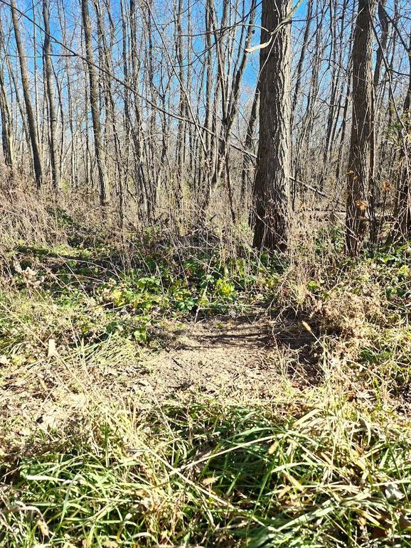 0cc417e7-cf31-47aa-9482-7195df37036e