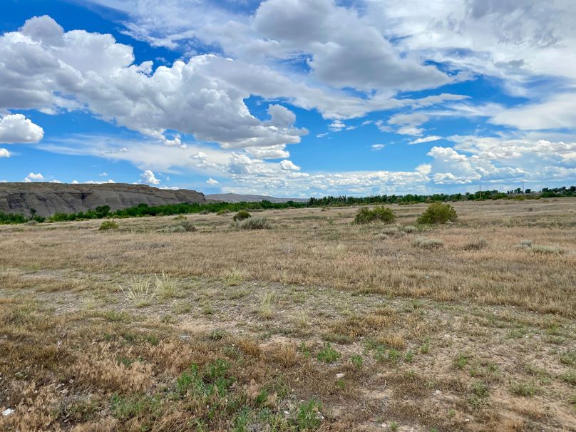 D174DBB9-75CF-42F3-B833-4A1882C95179_1_201_a