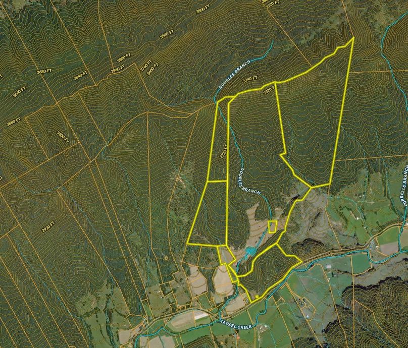 Aerial_ContourBearBranch