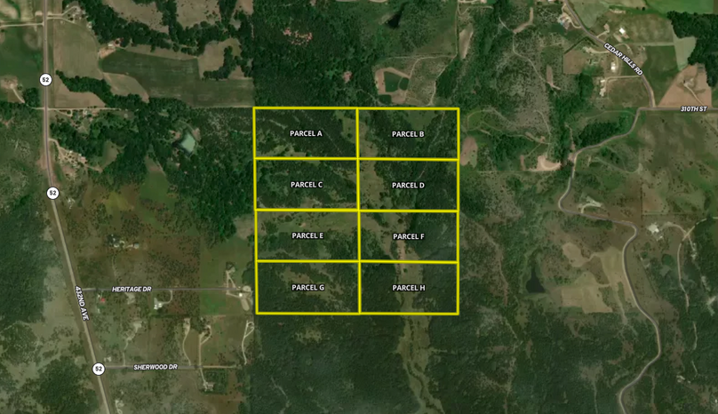 Screen Shot 2024-01-11 at 2.13.30 PM