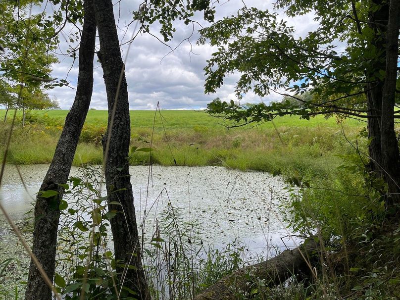 Schuyler_42.08_Austin Photo 2