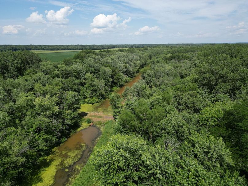 _DJI_0398