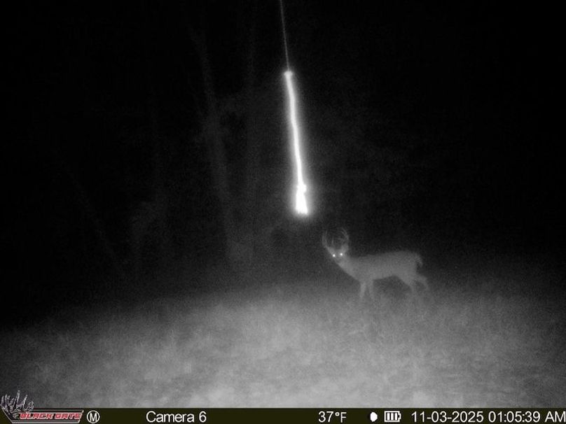 E62653DD-D567-4330-8EF8-0D3D4542F2E8