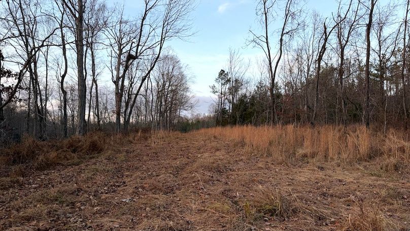 Grayson 48.195 Johnson10