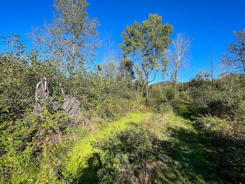 Wood 41.451, Collins -14