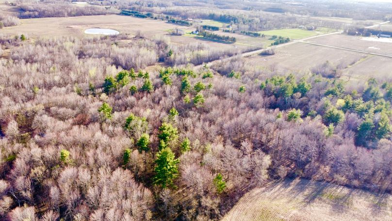 dji_fly_20230504_181920_707_1683242374629_photo_optimized