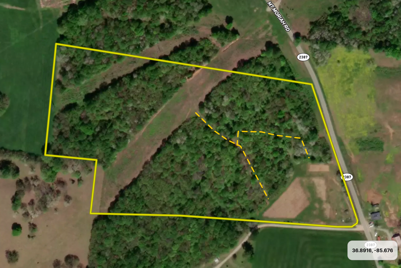 Screen Shot 2023-11-07 at 4.40.16 PM